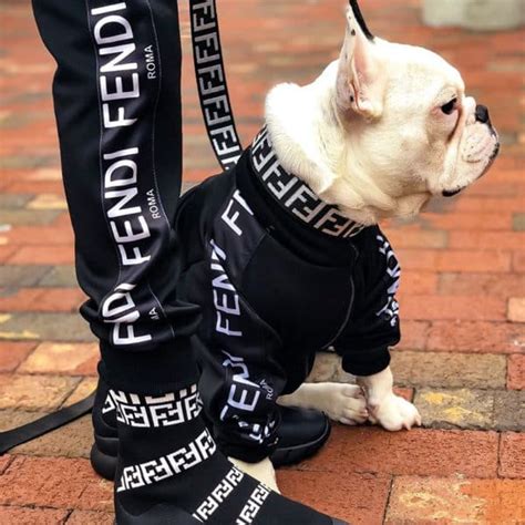 fendi dog harness|fendi dog clothing.